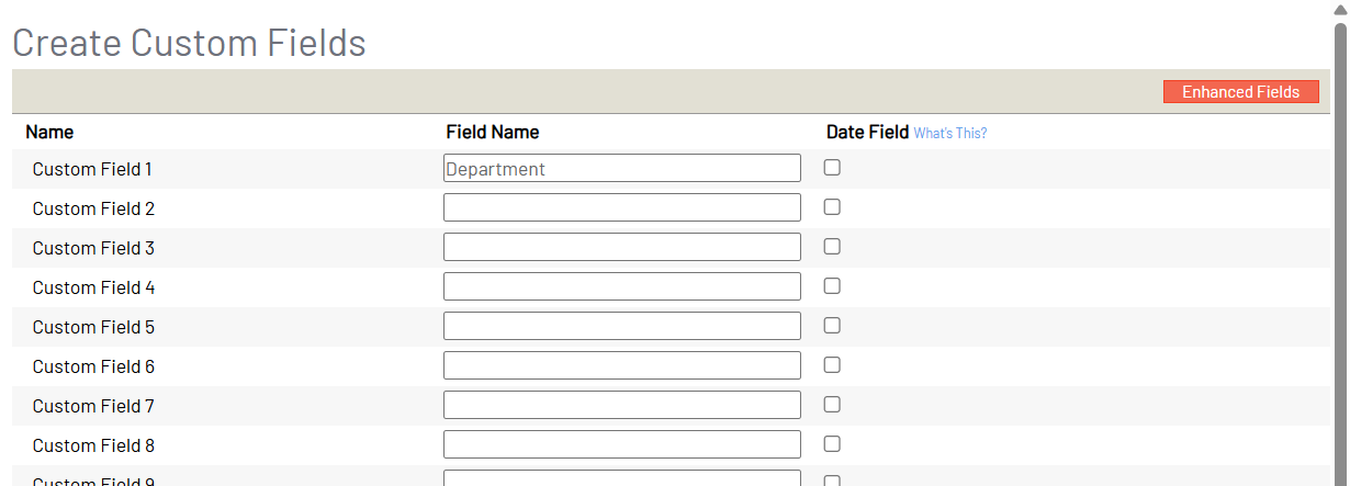 custom_fields_page_example.png