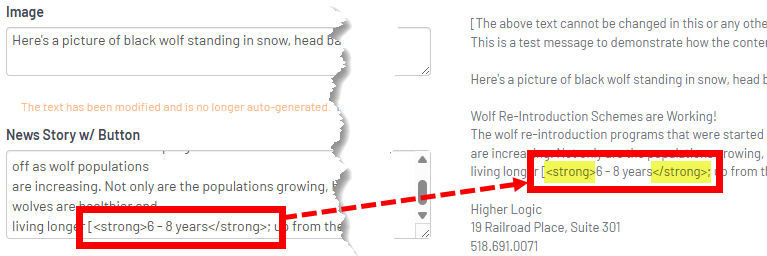 HTML-tags_don't-work.png