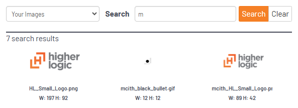 Asset-Mgr_search-feature_example.png