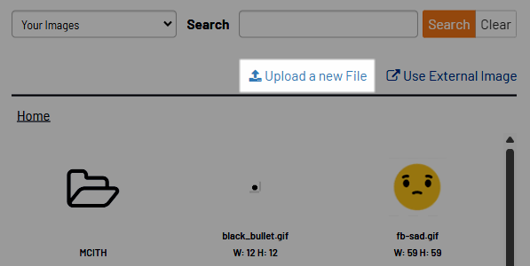 Asset-Mgr_upload-feature.png