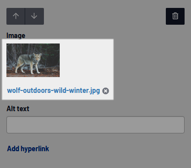 ImgGllryStry_image-preview-thumbnail.png