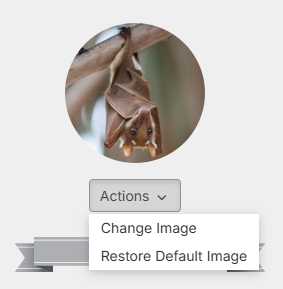 Profile-image-custom_with-dropdown.png